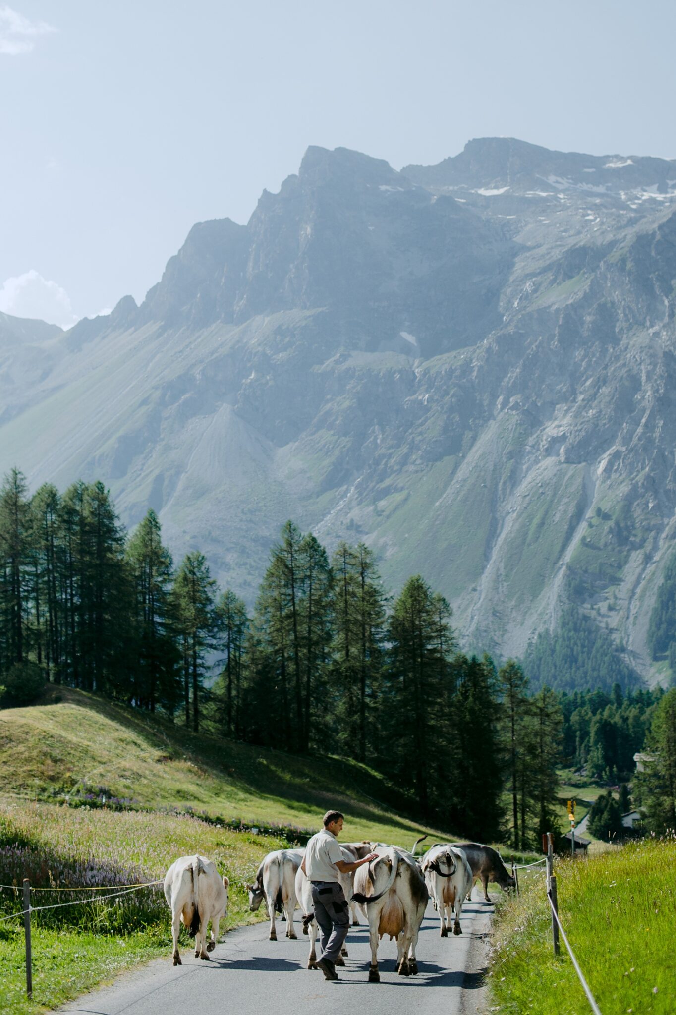 Sils Maria Switzerland